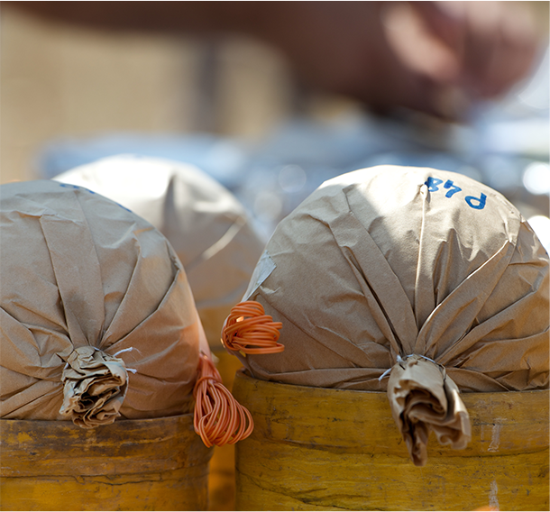 A_0007s_0003_shutterstock_217545577